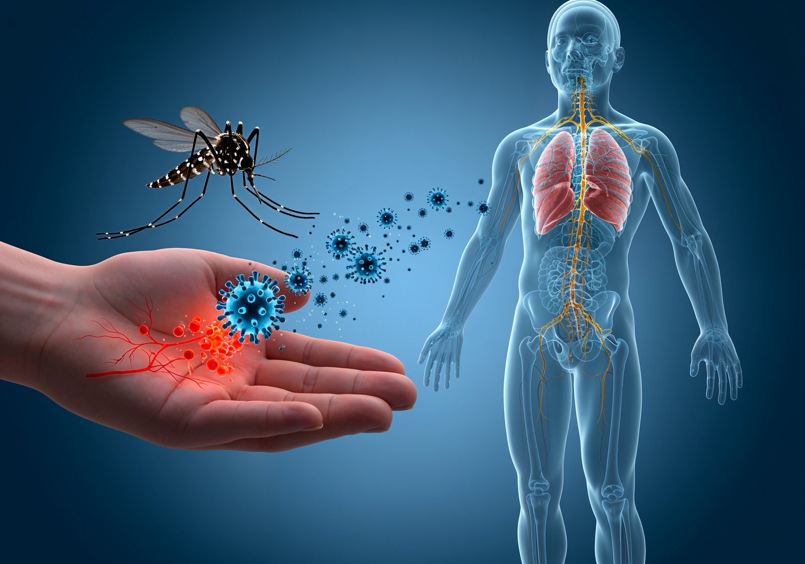 West Nile Virus Prevention